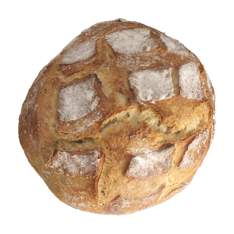 photo baguette alto