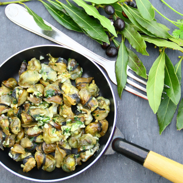Cassolette d'escargots