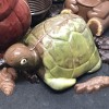 Tortue